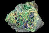 Sparkling Azurite and Malachite Crystal Cluster - Morocco #74388-1